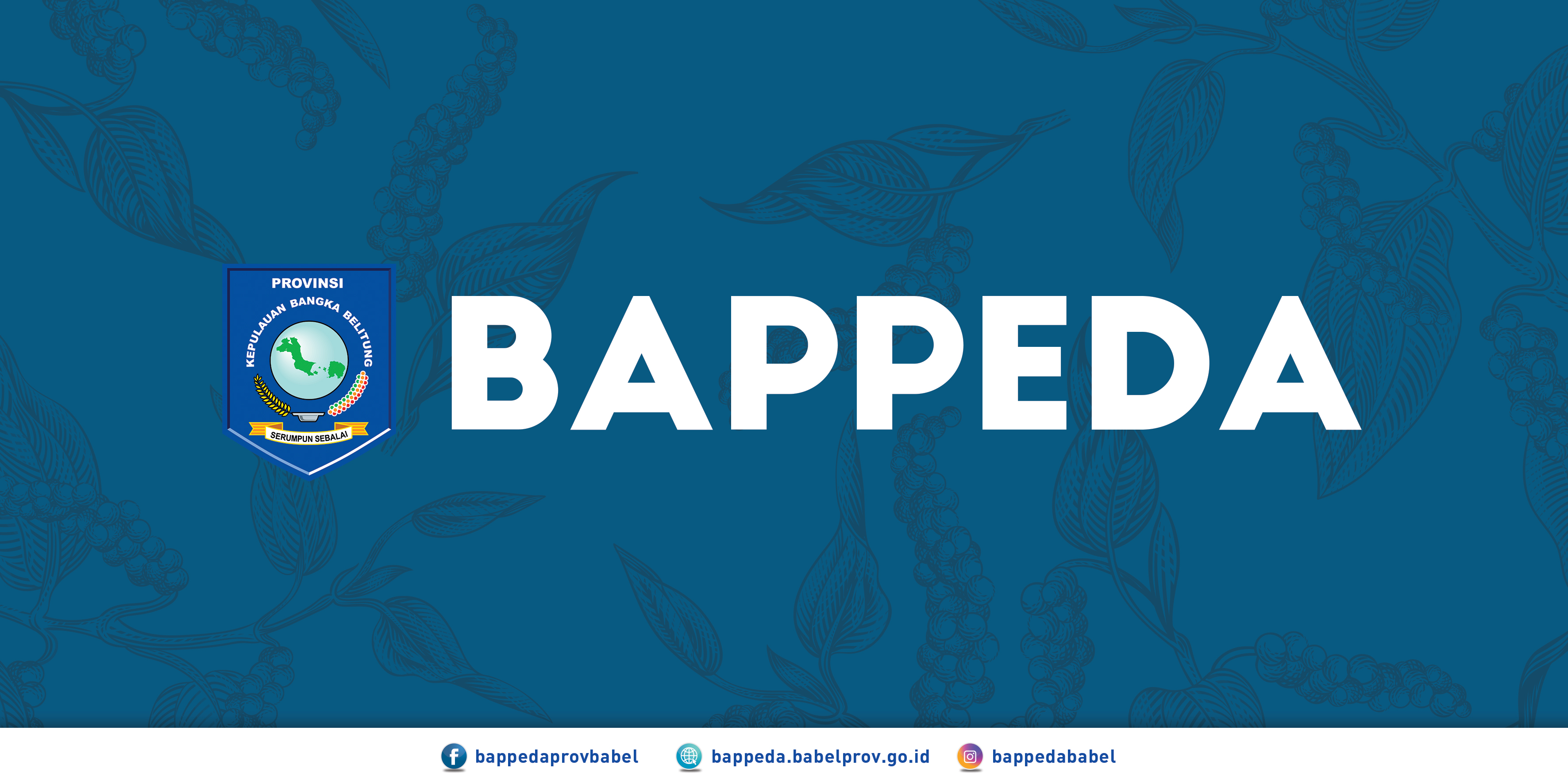 Bappeda Provinsi Kepulauan Bangka Belitung