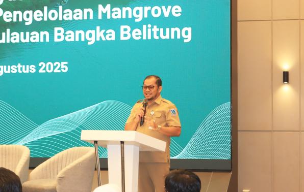 Babel Komit Mengelola dan Melindungi Ekosistem Mangrove