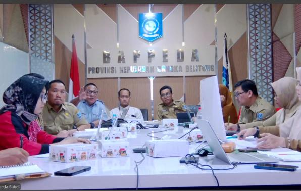 Pemprov Babel dan Bappenas Selaraskan RPJMD 2025–2029 dengan RPJMN