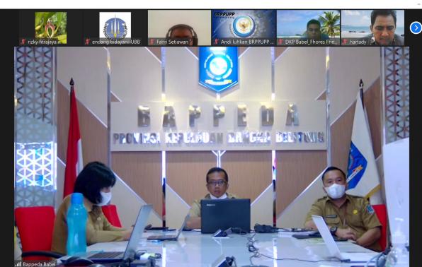 Bappeda Babel dan UBB Gelar Webinar Diseminasi Hasil Penelitian Perikanan dan Kelautan Tahun 2021