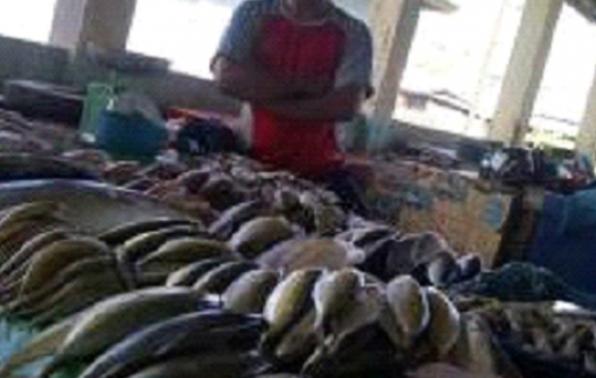 Kepala Dinas Turun ke Pasar, Penjual Ikan Mengira Pembeli