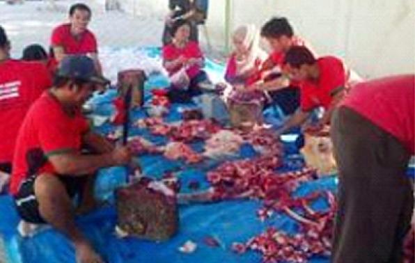 Kejati Babel Bagikan Hewan Kurban
