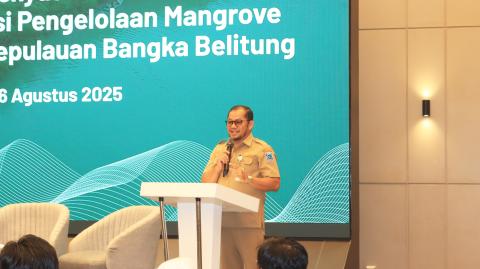Babel Komit Mengelola dan Melindungi Ekosistem Mangrove