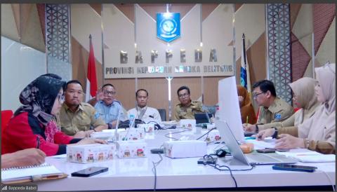 Pemprov Babel dan Bappenas Selaraskan RPJMD 2025–2029 dengan RPJMN