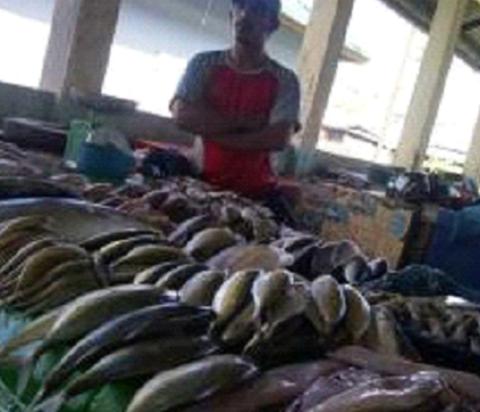 Kepala Dinas Turun ke Pasar, Penjual Ikan Mengira Pembeli