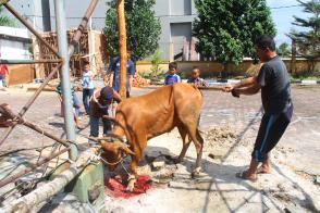 Hari Raya Idul Adha 1438 H